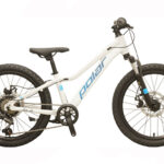 POLAR ALASKA 20 Silver