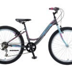 POLAR MODESTY 24 grey