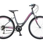 POLAR MODESTY 26 Grey