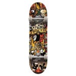 SKATEBOARD ROCES INDIAN