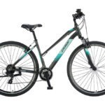 POLAR FORESTER COMP LADY Grey/Light Blue