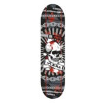 SKATEBOARD ROCES KANE