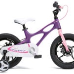 ROYAL BABY SPACE SHUTTLE 16"