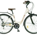 POLAR STRADA Beige/Brown