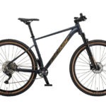 POLAR TSUNAMI 29 Black