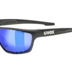 NAOČARE UVEX SGL 706