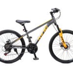 ROYAL BABY KING 24 Silver