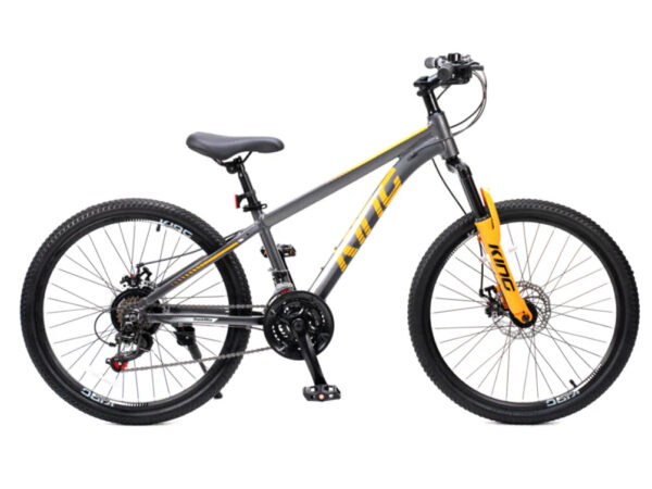 ROYAL BABY KING 24 Silver