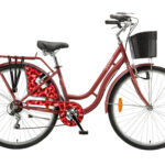 POLAR GRAZIA 28" 6B Medusa