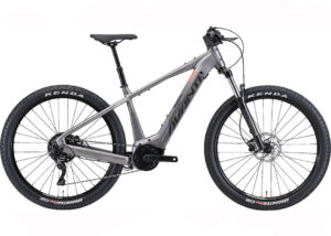 AVANTI MONTARI-E PERFORMANCE eRide Silver
