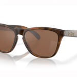 NAOČARE OAKLEY FROGSKINS