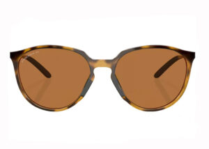 NAOČARE OAKLEY SIELO Polarized - Slika 4